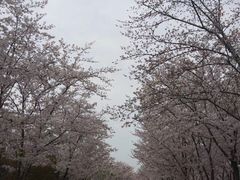-尚贤河湿地