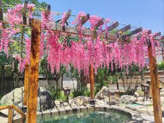 -华山御温泉度假村