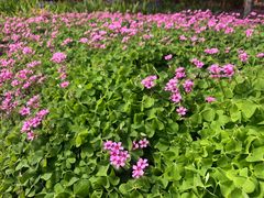 -洛阳周公庙博物馆