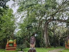 -瑞丽独树成林风景区