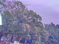 -荔湾湖公园