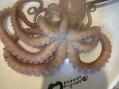 -初色海鲜自助(万丰路店)