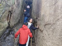 -鲁山国家森林公园