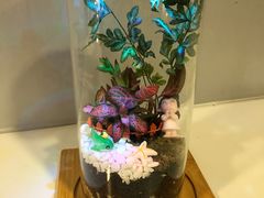 -奔驰上海利星(七宝店)