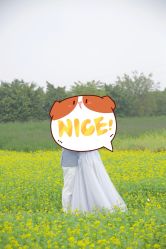 -金夫人婚纱摄影(华南店)
