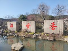 -香雪海