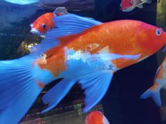 -木子塘汗蒸生活馆(财富港店)