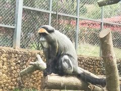-宁波野生动物园