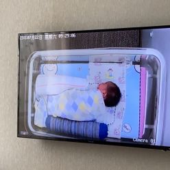 -海豚湾高端月子会所(黄浦店)