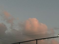 -君成体育|网球培训(蛇口校区)