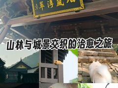 -杭州半山国家森林公园