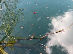 -黑龙潭公园
