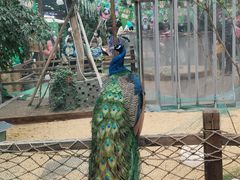 -凯德广场(学府店)