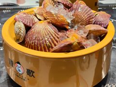 活扇贝-龍歌自助小火锅(李沧顺和汇店)