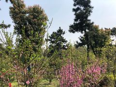 -南京金牛湖风景区