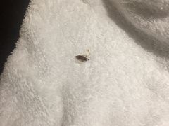 -南洋冠盛酒店(广州天河公园地铁站店)