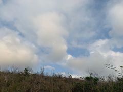 -南丫岛