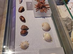 -中国（海南）南海博物馆