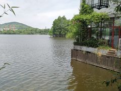 -东湖食堂·湖景餐厅•会议