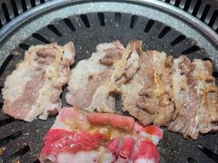 -杨记齐齐哈尔烤肉(总店)