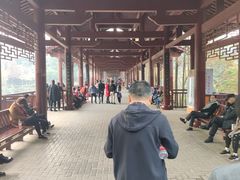 -重庆彩云湖湿地公园