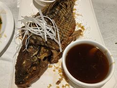 罾蹦鲤鱼-桂园餐厅(五大道店)