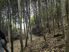 -大罗山风景区