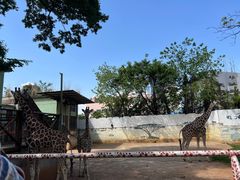 -昆明动物园
