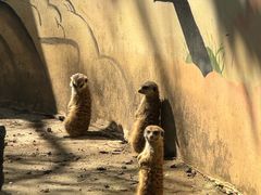 -杭州少年儿童公园