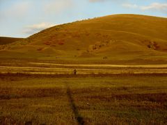 -塞罕坝国家级自然保护区