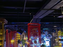 -胡桃里音乐酒馆(四道口店)