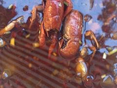 -霸王虾·麻辣小龙虾(清水河公园店)