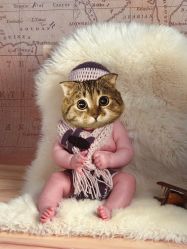 -小鬼当佳儿童摄影(回龙观店)