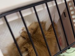 -美联众合动物医院·24h京西诊疗中心