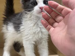 -天河体育中心