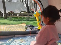 -草根堂农场