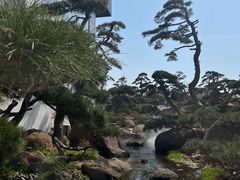 -罗红摄影艺术馆