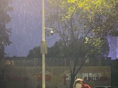 -武汉外国语学校