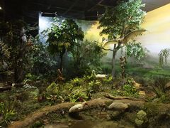 -陕西自然博物馆