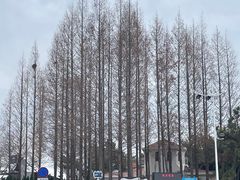 -五四广场