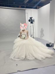 -CD视觉婚纱摄影