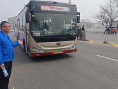 -桃花堤公园