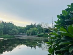 -文华公园(禅城区)