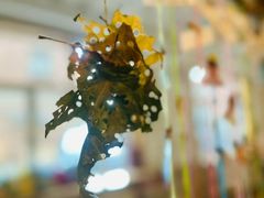 -世纪飞马幼儿园(西城校区)