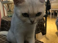 -万小咖.猫咖(中山路天虹店)