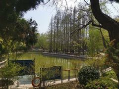 -八大关景区