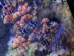 -成都浩海立方海洋公园