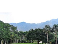 -深圳仙湖植物园
