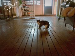 -EATALIA意塔利意式餐厅(鼓楼店)