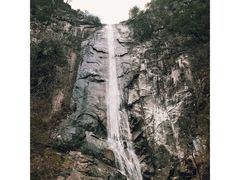 -黑河国家森林公园